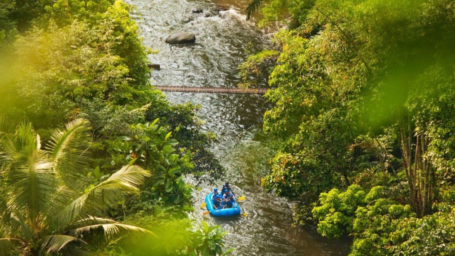 Ayung Rafting, Coffee Plantation and Monkey Forest – Tana Bali Tour